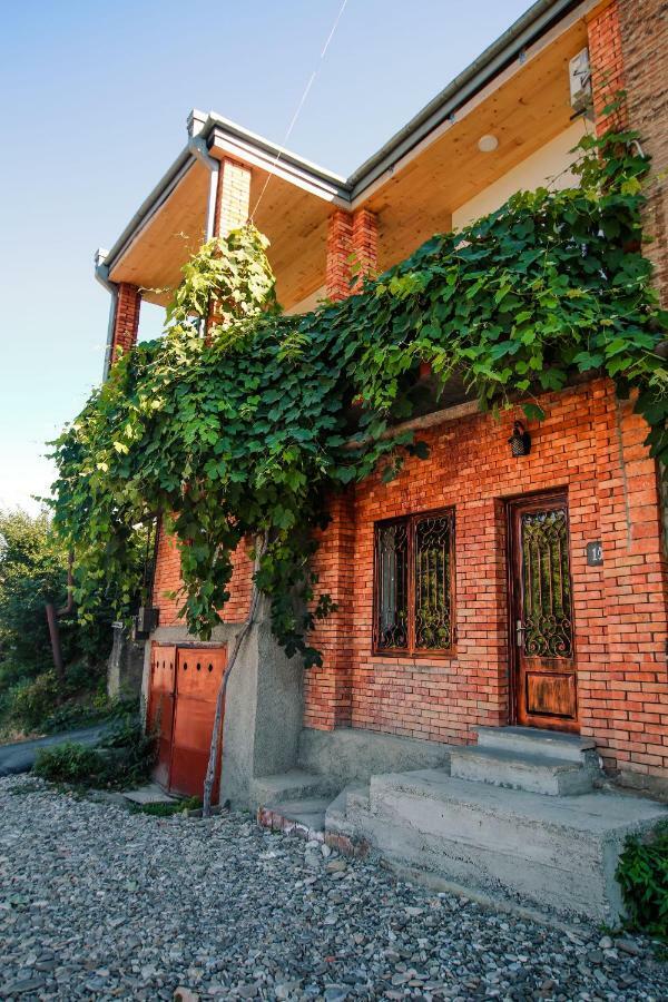 Hotel Luca Lili Signagi Exterior foto